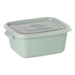 Xenos Bewaardozen|Magnetrondozen-Bakje voor magnetron - 2 liter - groen