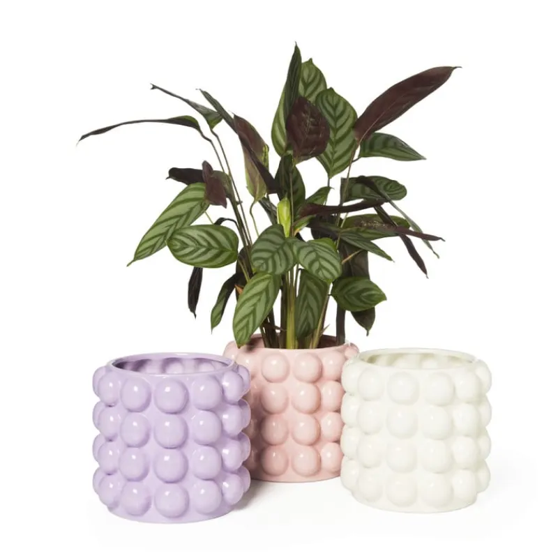 Xenos Bloempotten-Bloempot bubbel - wit - ø15x15 cm