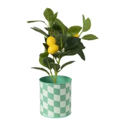 Xenos Bloempotten-Bloempot geblokt klein - groen - ø12x13 cm