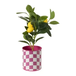Xenos Bloempotten-Bloempot geblokt klein - roze - ø12x13 cm