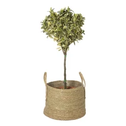 Xenos Bloempotten-Bloempot Guus - ø40x29 cm