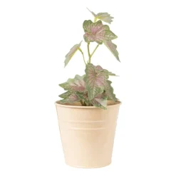 Xenos Bloempotten-Bloempot peach - ø10x9.5 cm