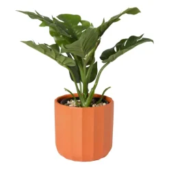 Xenos Bloempotten-Bloempot streep - rood - ø11.5x11 cm
