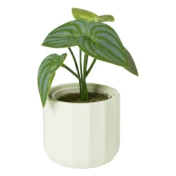 Xenos Bloempotten-Bloempotje streep - groen - ø7x6.5 cm