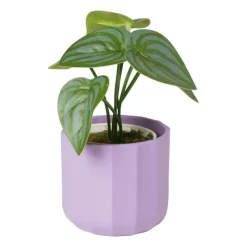 Xenos Bloempotten-Bloempotje streep - paars - ø7x6.5 cm