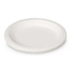 Xenos Wegwerpservies-Borden bagasse - set van 8 - ø18 cm