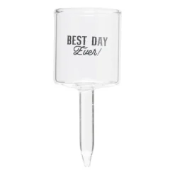 Xenos Cake Toppers-Caketopper shotglazen - set van 4