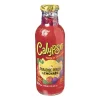 Xenos Koude Dranken-Calypso paradise punch lemonade - 473 ml