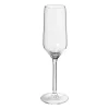 Xenos Champagneglazen-Champagne glas Aristo - 220 ml