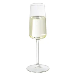 Xenos Champagneglazen|Kerstcadeaus-Champagne glas Leyda - glas - 220 ml