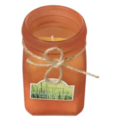 Xenos Citronella Kaars|Citronella Kaars-Citronella kaars - diverse varianten - ø6.5x11.5 cm