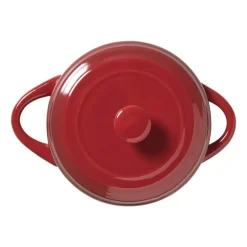 Xenos Pannen|Ovenschalen-Cocotte pannetje - rood