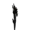Xenos Kunstbloemen-Droogbloem - Lagurus - zwart - 60 cm