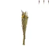 Xenos Kunstbloemen-Droogbloem boeketje - diverse varianten - 50 cm