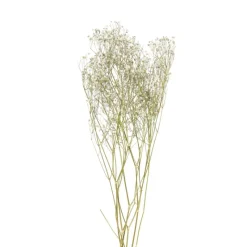 Xenos Kunstbloemen-Droogbloem gipskruid - wit - 60 cm