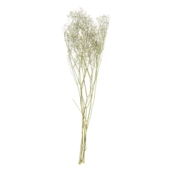 Xenos Kunstbloemen-Droogbloem gipskruid - wit - 60 cm