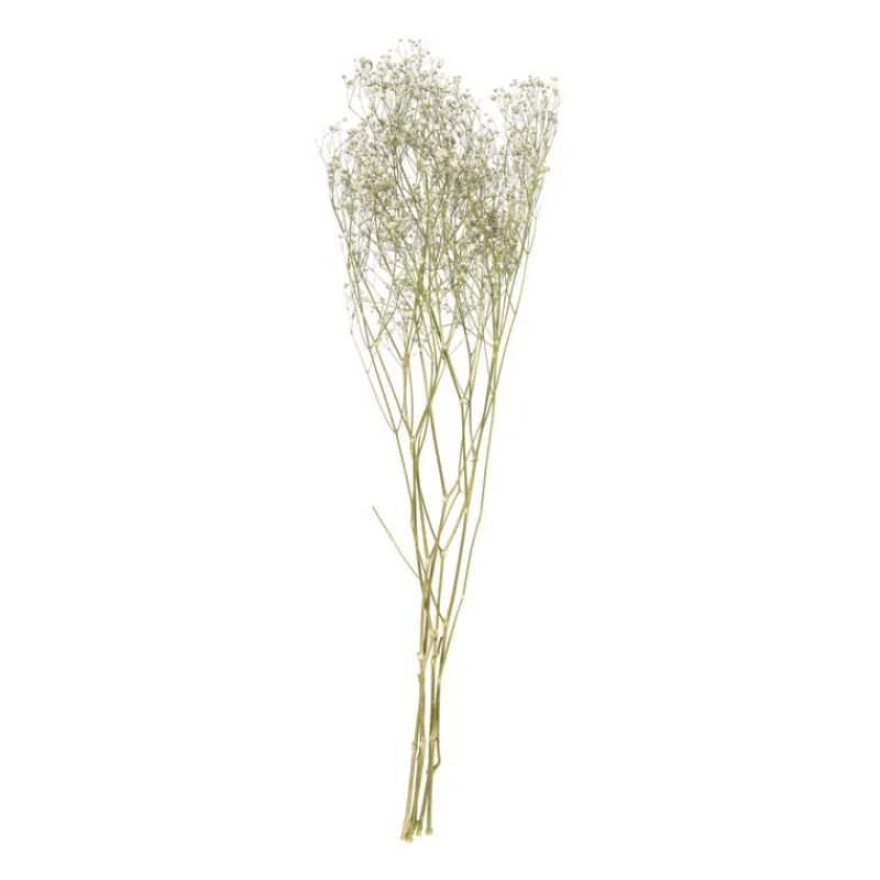 Xenos Kunstbloemen-Droogbloem gipskruid - wit - 60 cm