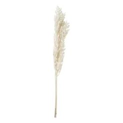 Xenos Kunstbloemen-Droogbloem ruscus - naturel - 65 cm