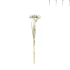 Xenos Kerstcadeaus|Kunstbloemen-Droogbloemen - diverse varianten - 38 cm