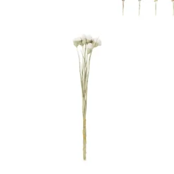 Xenos Kerstcadeaus|Kunstbloemen-Droogbloemen - diverse varianten - 38 cm