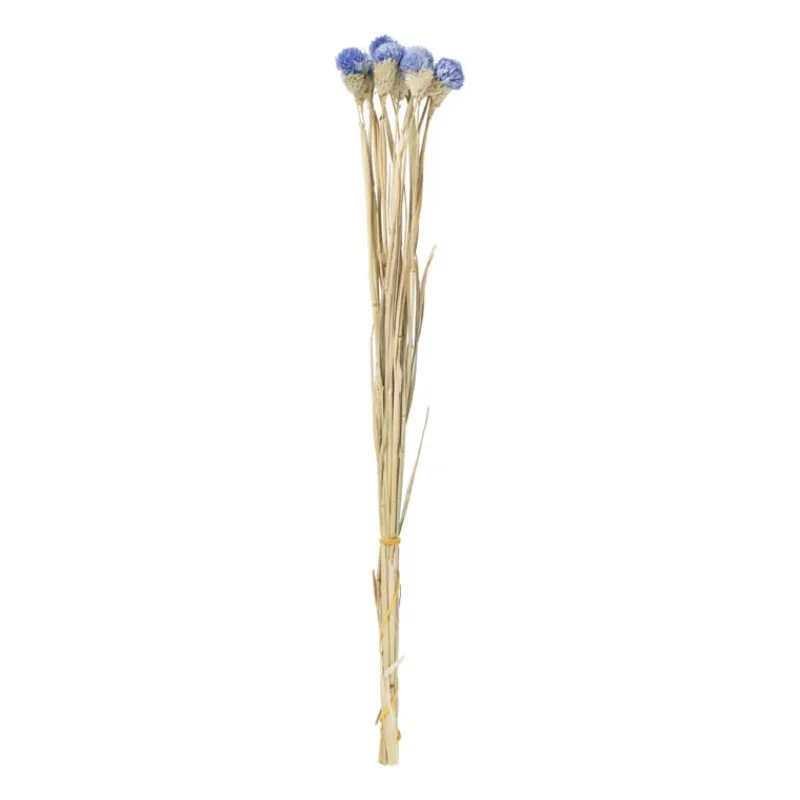 Xenos Kerstcadeaus|Kunstbloemen-Droogbloemen - diverse varianten - 38 cm