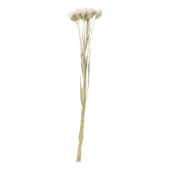 Xenos Kerstcadeaus|Kunstbloemen-Droogbloemen - diverse varianten - 38 cm