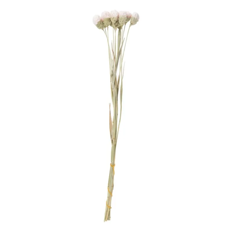 Xenos Kerstcadeaus|Kunstbloemen-Droogbloemen - diverse varianten - 38 cm