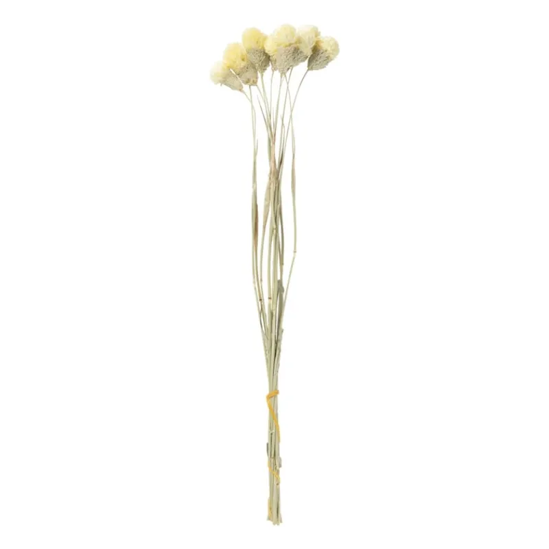 Xenos Kerstcadeaus|Kunstbloemen-Droogbloemen - diverse varianten - 38 cm