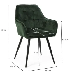 Xenos Eetkamerstoelen-Eetkamerstoel velvet met armleuning - groen - 87x56.5x43 cm