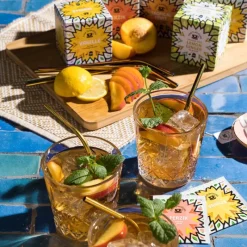 Xenos Thee-Fine flavours kruiden thee - vanille - 10 zakjes