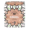 Xenos Thee-Fine flavours kruiden thee - kaneel - 10 zakjes