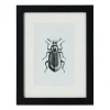 Xenos Fotolijsten-Fotolijst met passe partout - zwart - 10x15 cm