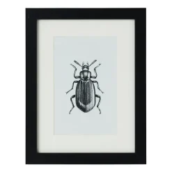Xenos Fotolijsten-Fotolijst met passe partout - zwart - 10x15 cm