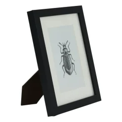 Xenos Fotolijsten-Fotolijst met passe partout - zwart - 10x15 cm