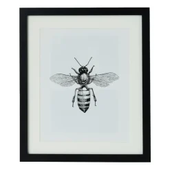 Xenos Fotolijsten-Fotolijst met passe partout - zwart - 20x25 cm
