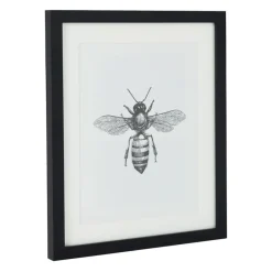 Xenos Fotolijsten-Fotolijst met passe partout - zwart - 20x25 cm