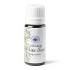Xenos Geurolie-Geurolie - white sage - 10 ml