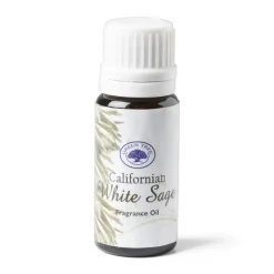 Xenos Geurolie-Geurolie - white sage - 10 ml