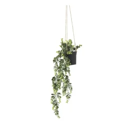 Xenos Kunstplanten-Hangplant - 65 cm