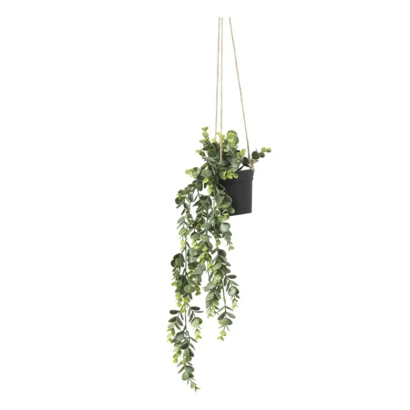 Xenos Kunstplanten-Hangplant - 65 cm