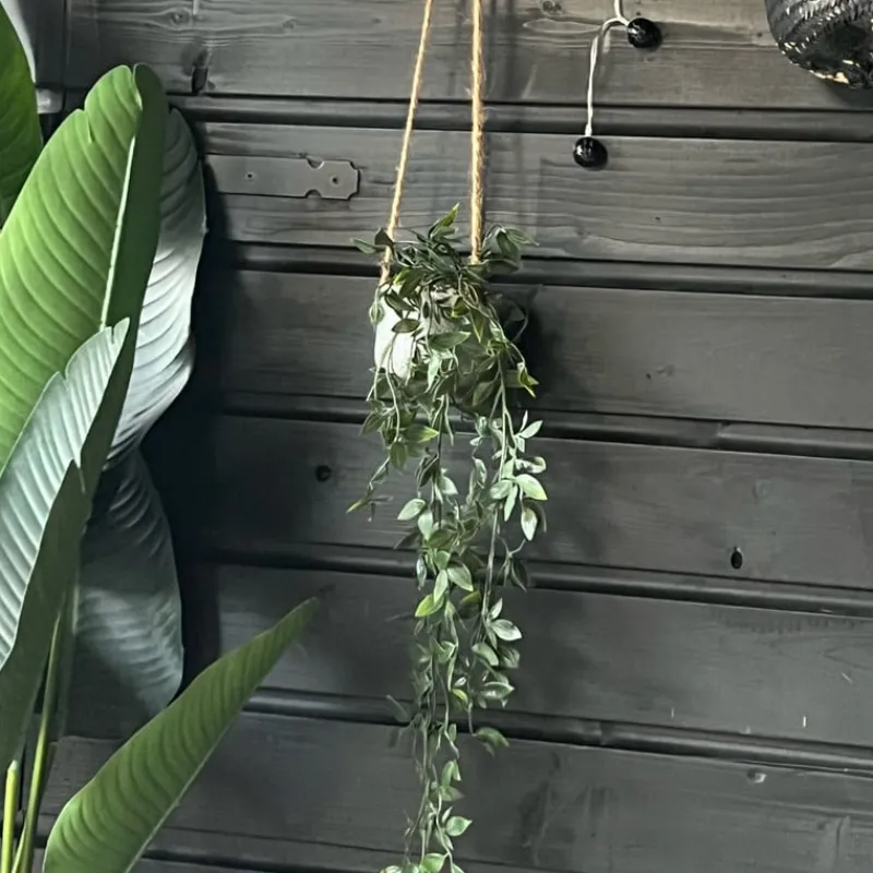 Xenos Kunstplanten-Hangplant - 65 cm