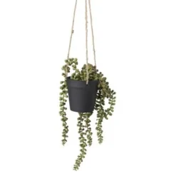 Xenos Kunstplanten-Hangplantje in pot - zwart - 9x9x70 cm