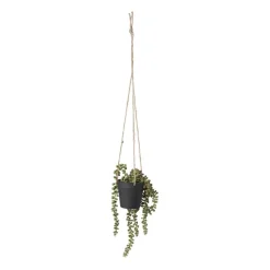 Xenos Kunstplanten-Hangplantje in pot - zwart - 9x9x70 cm