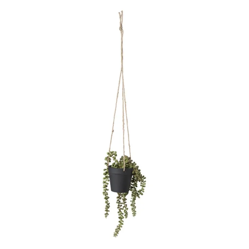 Xenos Kunstplanten-Hangplantje in pot - zwart - 9x9x70 cm