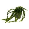 Xenos Kunstplanten-Hangplantje in potje - lang blad