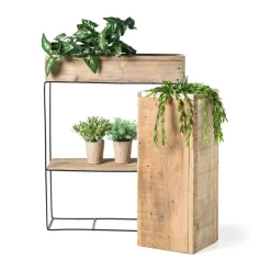 Xenos Kunstplanten-Hangplantje in potje - lang blad