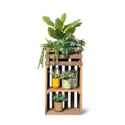 Xenos Kunstplanten-Hangplantje in potje - lang blad