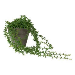 Xenos Kunstplanten-Hangplantje in potje - spits blad