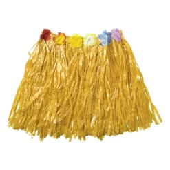 Xenos Verkleedkleding-Hawaii rokje - multikleur