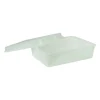 Xenos Opbergboxen-Iris clearbox - 13 liter - groen